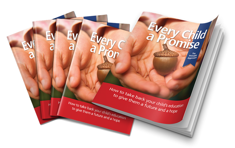 Every Child A Promise: The Principle Approach (Pack of 10)